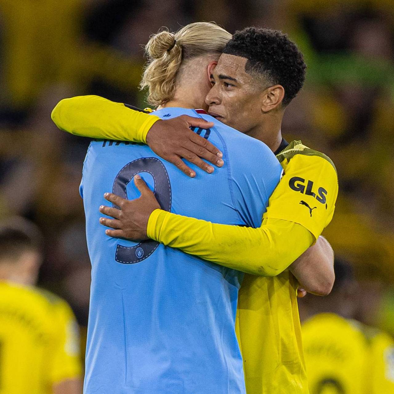 大规模的资 大规模的资